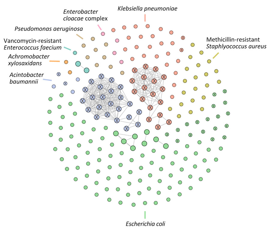 Cluster network of all isolates from molecular surveillance of multidrug-resistant bacteria among refugees from Afghanistan in 2 US military hospitals during Operation Allies Refuge, 2021. Isolates are grouped and colored by bacterial species. X indicates carbapenemase-producing isolates. Circles without connecting lines represent genetically unrelated isolates. Connected circles represent isolates that are <10 core alleles genetically distinct from Operation Allies Refuge isolates or historical isolates from Landstuhl Regional Medical Center, Landstuhl, Germany and Bagram Air Force Base, Parwan Province, Afghanistan. Clusters grouping serial isolates from single patients are not shown. 