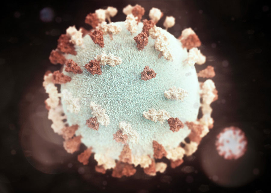 Three-dimensional graphic representation of a spherical-shaped mumps virus particle. Illustrated by Alissa Eckert. Source: Centers for Disease Control and Prevention Public Health Image Library (https://phil.cdc.gov).