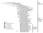 Maximum-likelihood phylogenetic tree for the hemagglutinin (HA) gene in study of highly pathogenic avian influenza virus A(H5N1) infection in cats, South Korea, 2023. The phylogenetic tree is based on H5N1 HA sequences of viruses isolated recently, as well as on the HA gene sequence of other H5Nx viruses. Bootstrap values (1,000 replicates) >70% are displayed at the branch nodes. The black circle denotes virus isolated from poultry in South Korea, 2022–2023, and the black triangle denotes viruses isolated from raw duck meat used for cat food. The blue shaded square denotes viruses isolated from cats in shelter 1, and the red square indicates viruses isolated from cats in shelter 2. The blue outlined square indicates viruses isolated from cats in shelter 1 by SNU. Scale bar indicates number of nucleotide substitutions per site. SNU, Seoul National University. 