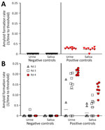 Amyloid formation rates in urine and saliva samples from white-tailed deer with chronic wasting disease in longitudinal study of temporal characterization of prion shedding in secreta, United States. A) Amyloid formation rates measured by using iron oxide bead capture and subsequent real-time quaking-induced conversion. Black indicates prion-negative samples; red indicates prion-positive samples. B) Amyloid formation rates measured by using iron oxide bead capture, 4 rounds of serial protein misfolding amplification, and subsequent real-time quaking-induced conversion in the same samples as those in panel A. Rates were measured for samples after amplification rounds 2–4. Horizontal lines in each grouping indicate median values. Rd, round.