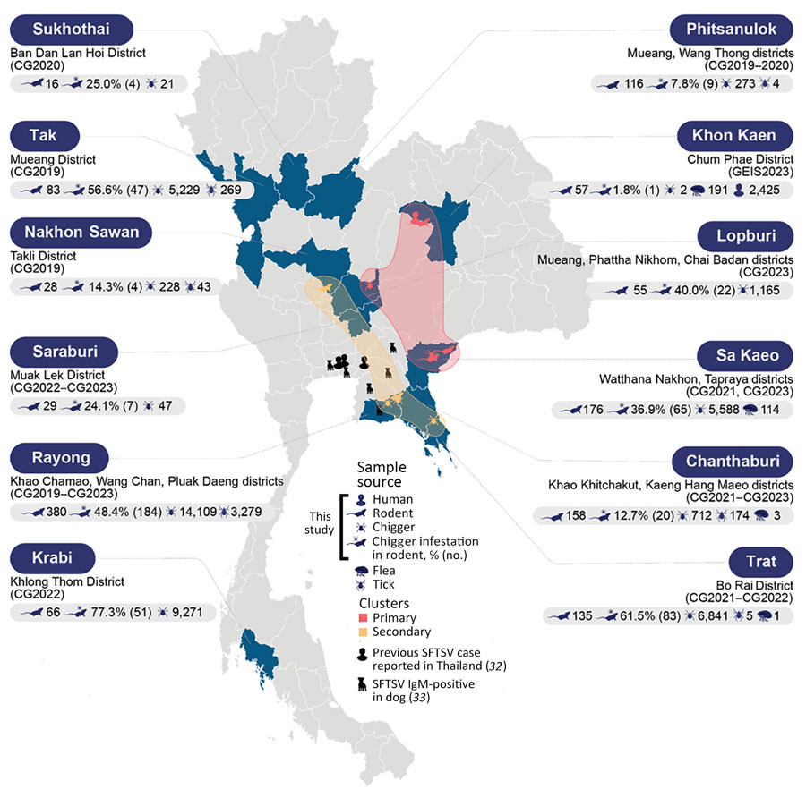 Geospatial clustering of SFTSV, Thailand, 2015–2021. Blue areas on the map represent the surveillance locations in this study. Icons indicate the types of host species and chiggers that tested positive for SFTSV. Data were consolidated to include previous reports of locations where SFTSV-positive patients and dogs were identified, aligning with the current locations of positive samples. Clusters were determined using the K-means clustering method. Primary clusters, highlighted in red, denote regions with a high overall prevalence of SFTSV across all hosts or are considered high-risk areas. Secondary clusters, highlighted in yellow, indicate areas with potential transmission dynamics, particularly involving animal hosts. SFTSV, severe fever with thrombocytopenia syndrome virus.