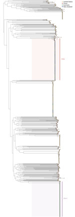 Phylogeny of Vibrio parahaemolyticus constructed using available pangenomes from the PubMLST database (https://pubmlst.org) and outbreak isolates of ST417 and ST 50. Data informed an investigation of V. parahaemolyticus foodborne illness associated with oysters, Australia, 2021–2022. ST, sequence type.