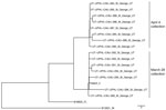 Neighbor-joining phylogenetic tree including clade III Candida auris isolates recovered from the St. George, Utah, USA, wastewater treatment plant on 2 collection dates (March 28 and April 4, 2023) and from a second patient. National Center for Biotechnology Information Sequence Read Archive accessions for all isolates are listed in the Appendix. Scale bar indicates substitutions per site.