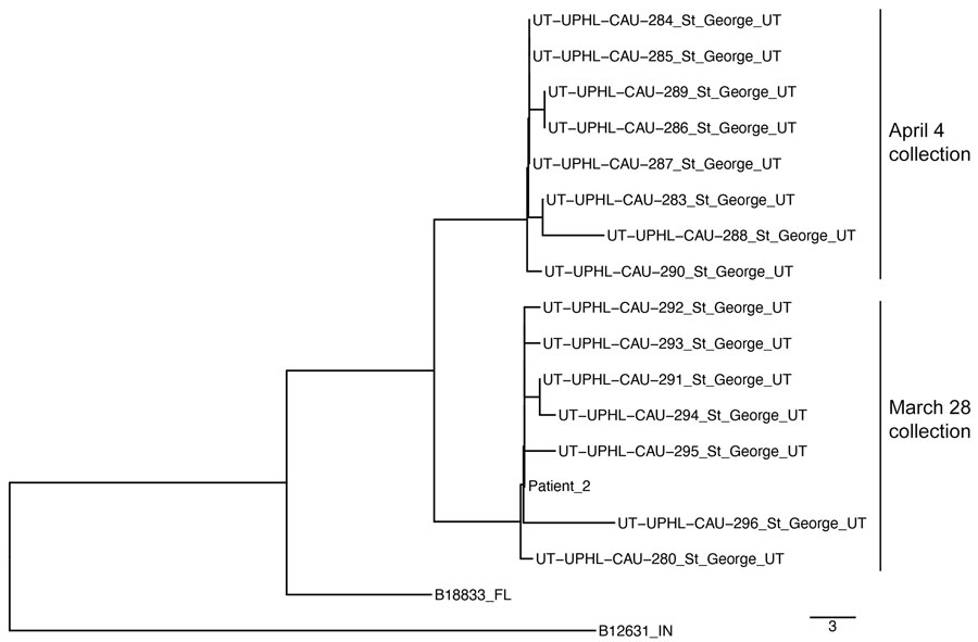 Neighbor-joining phylogenetic tree including clade III Candida auris isolates recovered from the St. George, Utah, USA, wastewater treatment plant on 2 collection dates (March 28 and April 4, 2023) and from a second patient. National Center for Biotechnology Information Sequence Read Archive accessions for all isolates are listed in the Appendix. Scale bar indicates substitutions per site.