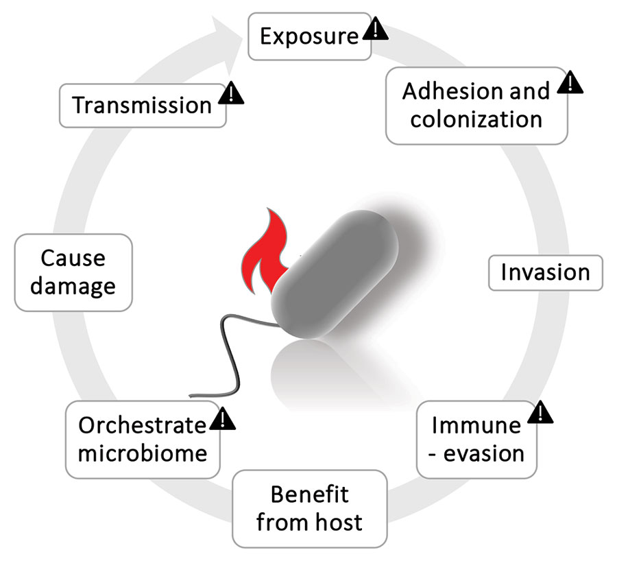 Cycle of pathogen actions. Triangles indicate pathogenic potentials for archaea. The other actions still require attention and strategic research. Figure created with BioRender (https://www.biorender.com).
