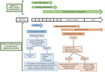 General laboratory algorithm used for diagnosis of MADV and VEEV, Panama. MADV and VEEV diagnosis made on the basis of days since symptom onset. *In paired samples showing 4-fold increase in antibody titers. †Confirmation after IgG or IgM testing. MADV, Madariaga virus; PRNT, plaque-reduction neutralization test; RT-PCR, reverse transcription PCR; VEEV, Venezuelan equine encephalitis virus. 