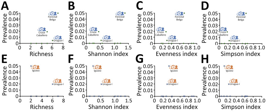 Orthohantavirus seroprevalence in Akodon affinis montensis mice (green dots) and in Oligoryzomys sp. rodents (blue crosses) as a function of richness and Shannon-Wiener, evenness, and Simpson indices in study of orthohantavirus in Misiones Province, northeastern Argentina. Mouse icons indicate presence of seropositive A. aff. montensis (in blue) and Oligoryzomys sp. (in orange) rodents.