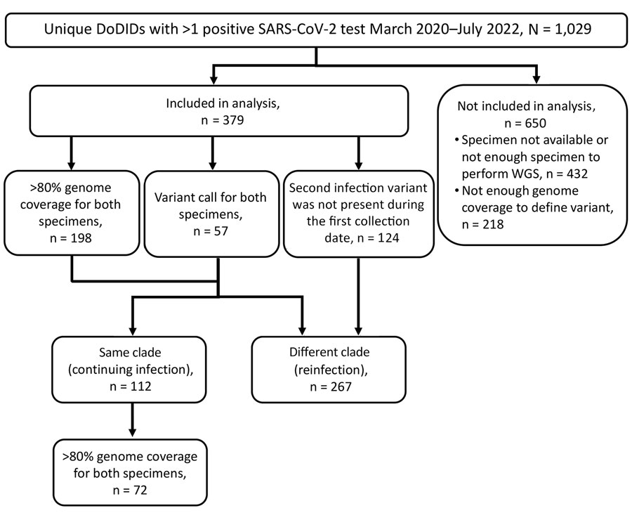 Case selection in study using SARS-CoV-2 sequencing data to identify reinfection cases in Department of Defense Global Respiratory Pathogen Surveillance Program, United States. Flowchart shows case selection criteria used to identify a SARS-CoV-2 reinfection according to whole-genome sequencing. Patient had either a reinfection if the Nextstrain (https://nextstrain.org) clade was different between the first and second specimen collection timepoints or had a continuing infection if the same clade was identified at both timepoints. DoDID, Department of Defense identification number; WGS, whole-genome sequencing.