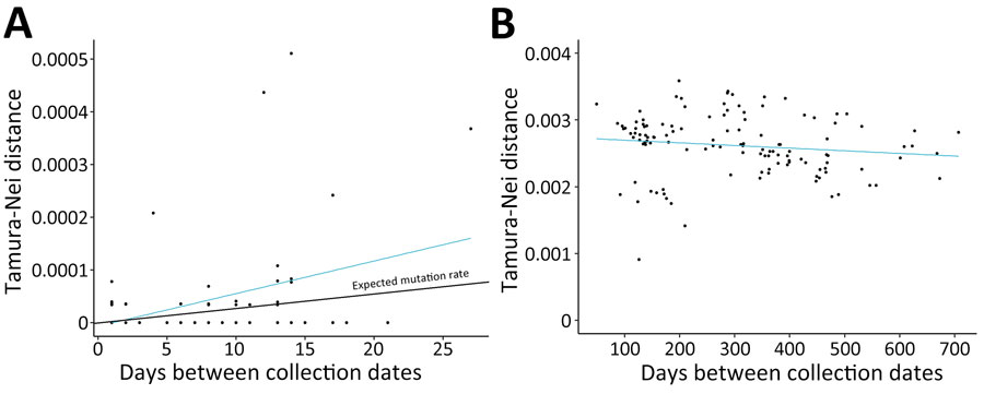 SARS-CoV-2 nucleotide changes in study using sequencing data to identify reinfection cases in Department of Defense Global Respiratory Pathogen Surveillance Program, United States. Tamura-Nei p-distances were determined relative to the number of days between specimen collection dates for continuing infections (A) and reinfections (B). A) Number of nucleotide substitutions correlated with the amount of time between specimen collections in patients who had continuing infections (p = 0.0021). Expected SARS-CoV-2 mutation rate was 1 single nucleotide variant per 2 weeks. B) No relationship was observed between number of nucleotide substitutions and time in reinfection cases (p = 0.137).