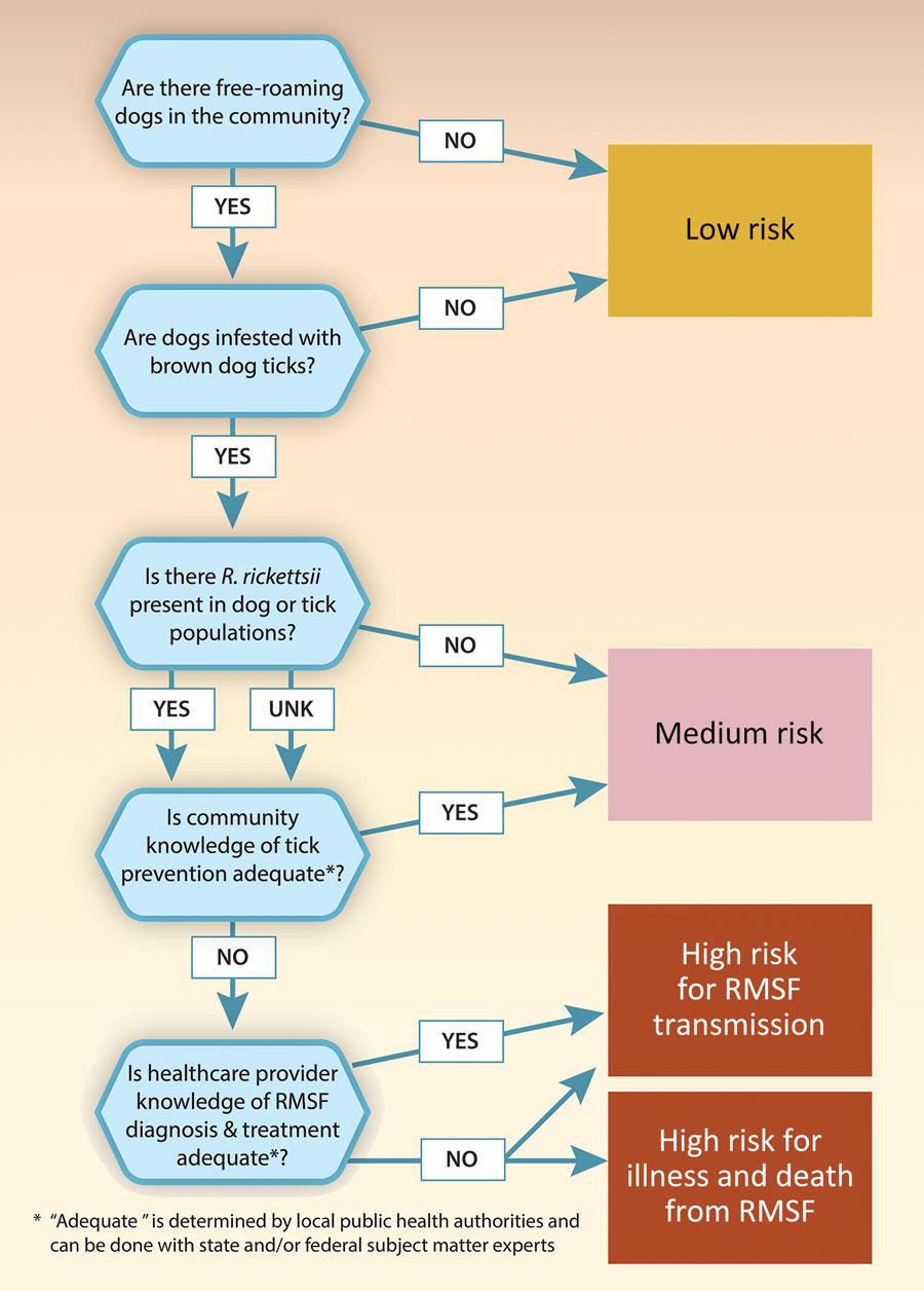 Community risk assessment for brown dog tick–associated RMSF. Communities with free-roaming dogs, high levels of brown dog ticks, and Rickettsia rickettsii in the dog or tick population are considered medium risk for RMSF transmission. Communities with those factors as well as inadequate community knowledge of tick prevention are considered high risk for RMSF transmission. If healthcare provider knowledge of RMSF diagnosis and treatment is also inadequate, the community is also considered high risk for severe illness or death from RMSF. RMSF, Rocky Mountain spotted fever.