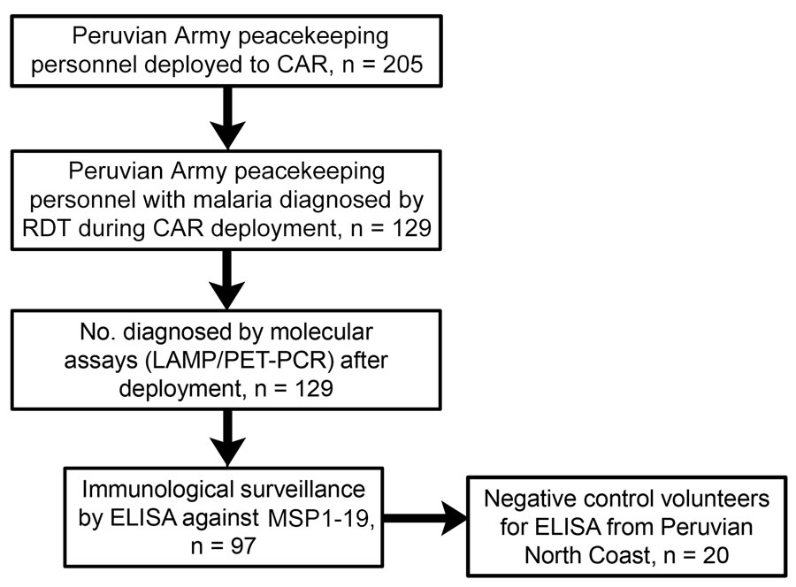 Flow diagram of participants included in study of serosurveillance for Plasmodium falciparum malaria in Peruvian Army peacekeeping personnel, Central African Republic, 2021–2022. CAR, Central African Republic; LAMP, loop-mediated isothermal amplification; MSP1-19, C-terminal 19-kDa region merozoite surface protein 1; PET-PCR, photo-induced electron transfer PCR; RDT, rapid diagnostic test.