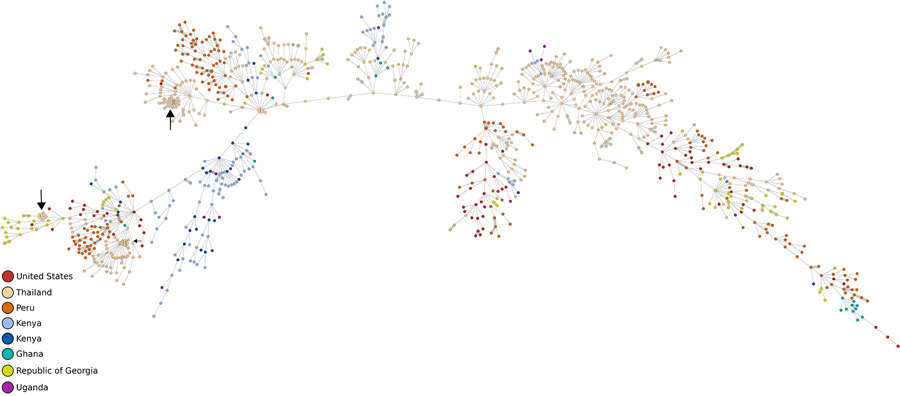 Minimum-spanning tree showing genome-based genetic relatedness of all N. gonorrhoeae isolates received at Uniformed Services University (n = 1,044), Bethesda, Maryland, USA, in study of common patterns and unique threats in antimicrobial resistance as demonstrated by global gonococcal surveillance. Tree was generated using core genome multilocus sequence typing. Each circle represents >1 isolates; isolates with 1–10 allelic differences are emphasized by gray shading around the lines and are considered highly genetically related with suspicion of nosocomial origin. Isolates are colored corresponding to their country of origin. Possible clonal isolates are shown with black arrows. 