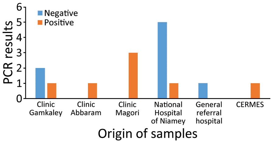Distribution and results of dengue fever testing of suspected cases according to hospital or clinical origin in Niamey, Niger, October 2023. CERMES, Centre de Recherche Medicale et Sanitaire. 