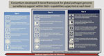 Tiered sequencing and bioinformatics capabilities for genomic surveillance within the US DoD. Modified from (15). DoD, Department of Defense; GEIS, Global Emerging Infections Surveillance.