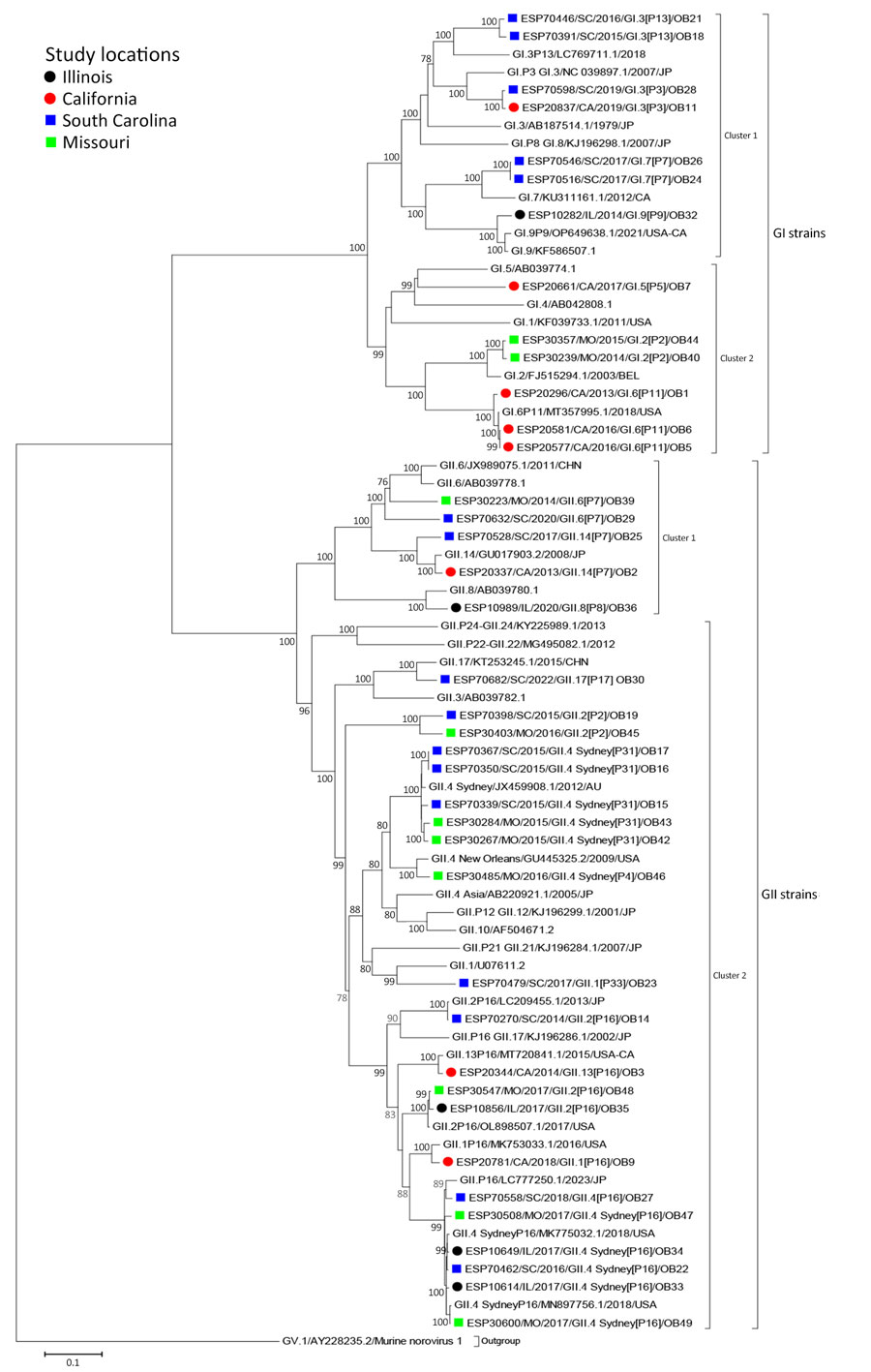 Maximum-likelihood phylogram in a study of molecular characterization of noroviruses causing acute gastroenteritis outbreaks among US military recruits at 4 basic training facilities, 2013–2023. Phylogram reveals genetic relatedness of whole-genome sequences (+7,500 bp) for 39 of the 49 selected outbreak virus study strains characterized by whole-genome analysis. Outbreak study strains are labeled from left to right as follows: sample identification/location sample was collected/year sample was collected/genogroup and P-type/outbreak number. The 4 facilities were Marine Corps centers in California and South Carolina, a Navy center in Illinois, and an Army center in Missouri. Bootstrap values >70% are indicated at branch nodes where applicable. Scale bar indicates nucleotide substitutions per site.