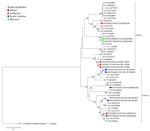 Maximum-likelihood phylogram of GII ORF2 (VP1) in a study of molecular characterization of noroviruses causing acute gastroenteritis outbreaks among US military recruits at 4 basic training facilities, 2013–2023. Phylogram reveals genetic relatedness GII ORF2 (VP1) deduced amino acid sequences (+580 bp) for 26 of the 39 norovirus outbreak strains. Outbreak study strains are labeled from left to right as follows: sample identification/location sample was collected/year sample was collected/genogroup and P-type/outbreak number. The 4 facilities, identified by color,  were Marine Corps centers in California and South Carolina, a Navy center in Illinois, and an Army center in Missouri. Bootstrap values >70% are indicated at branch nodes where applicable. Scale bar indicates nucleotide substitutions per site. ORF, open reading frame; VP, virus capsid protein. 