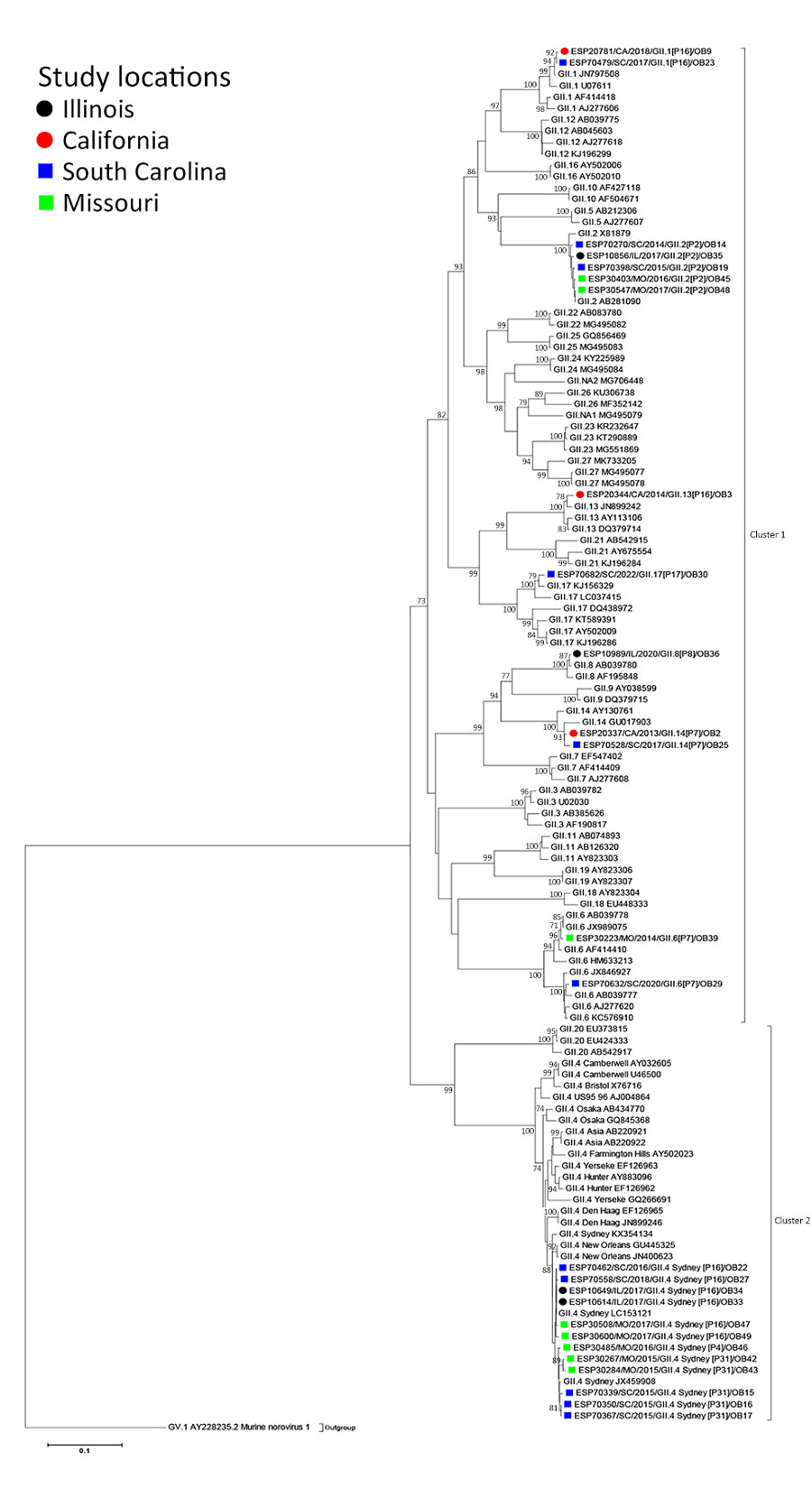 Maximum-likelihood phylogram of GI ORF2 (VP1) in a study of molecular characterization of noroviruses causing acute gastroenteritis outbreaks among US military recruits at 4 basic training facilities, 2013–2023. Phylogram reveals genetic relatedness of GI ORF2 (VP1) deduced amino acid sequences (+550 bp) for 13 of the 39 norovirus outbreak strains. Outbreak study strains are labeled from left to right as follows: sample identification/location sample was collected/year sample was collected/genogroup and P-type/outbreak number. The 4 facilities, identified by color, were Marine Corps centers in California and South Carolina, a Navy center in Illinois, and an Army center in Missouri. Bootstrap values >70% are indicated at branch nodes where applicable. Scale bar indicates nucleotide substitutions per site. ORF, open reading frame; VP, virus capsid protein. 