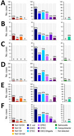 Enteric pathogens detected in a study of etiology and epidemiology of travelers’ diarrhea among US military personnel and adult travelers, 2018–2023. The study included travelers from the following countries:  A) Honduras (n = 107); B) Peru (n = 15); C) Egypt (n = 17); D) Djibouti (n = 200); E) Nepal (n = 133); F) Georgia (n = 40). We consider the proportions from Peru, Egypt, and Georgia to be unstable (n < 40) and the results should be interpreted with caution. The y-axis and bars represent the number of times each pathogen was detected for each country. The percent positivity for each pathogen is listed above the corresponding bar in each graph. Percent positivity does not add up to 100% for each country because of the occurrence of coinfections. EAEC, enteroaggregative Escherichia coli; EIEC, enteroinvasive E. coli/Shigella; EPEC, enteropathogenic E. coli; ETEC, enterotoxigenic E. coli; g, genogroup; NoV, norovirus; STEC, Shiga-like toxin–producing E. coli.