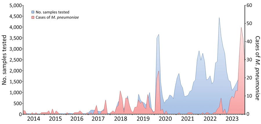 Monthly number of Mycoplasma pneumoniae–specific quantitative PCR tests performed and positive cases at a university hospital, Marseilles, France, January 1, 2014–February 15, 2024. Scales for the y-axes differ substantially to underscore patterns but do not permit direct comparisons.