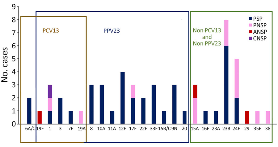 Streptococcus pneumoniae serotype distribution and β-lactam susceptibility in adults with septic arthritis, France, 2010–2018. Boxes indicate serotype distribution within different vaccines. ANSP, amoxicillin-nonsusceptible pneumococcus; CNSP, (third-generation) cephalosporin–nonsusceptible pneumococcus; PCV13,13-valent pneumococcal conjugate vaccine; PNSP, penicillin-nonsusceptible pneumococcus; PPV23, 23-valent pneumococcal polysaccharide vaccine; PSP, penicillin (β-lactam)–susceptible pneumococcus.