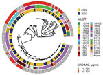 Circular midpoint rooted phylogeny of sequences from Neisseria gonorrhoeae isolates collected by the World Health Organization Enhanced Gonococcal Antimicrobial Surveillance Programme, Cambodia, 2022–2023. Associated metadata, year of isolation, MLST, and presence or absence of elevated MICs for CRO are depicted in concentric rings. White cells in the 3 rings correspond with the tree tip belonging to isolate FC428, the first penA-60.001-containing ceftriaxone-resistant isolate documented in Japan in 2015 (6). CRO, ceftriaxone; MLST, multilocus sequence type.