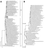 Phylogenetic analysis of genetically distinct highly pathogenic avian influenza H5N5 and H5N1 viruses isolated in Japan in winter 2023–24. H5 hemagglutinin (A) and N5 neuraminidase (B) gene segments of H5N5 highly pathogenic avian influenza viruses (HPAIVs) isolated in winter 2023–24 were compared with reference strains within clade 2.3.4.4b obtained from GISAID (https://www.gisaid.org). Squares indicate H5N1 and circles indicate H5N5 HPAIVs isolated from crows in Hokkaido in winter 2023–24. Bold text indicates the H5N5 HPAIV isolated from a peregrine falcon in Kumamato in the southern part of Japan in winter 2023–24. Trees were constructed by using the maximum-likelihood method and MEGA 7 software (https://www.megasoftware.net). Bootstrap values (>50%) from 1,000 replicates are indicated on nodes. Isolated viruses belonging to subgroups G1, G2a, and G2d and clade 2.3.4.4b are indicated. Dates after strain names indicate sample collection dates for HPAIV-infected animals. Scale bar indicates number of nucleotide substitutions per site.