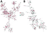 Population structure and diversity of high-risk Escherichia coli and Klebsiella pneumoniae sequence types across Kenya, Uganda, and Jordan. Minimum-spanning trees of E. coli (n = 785) and K. pneumoniae (n = 378) isolates are based on core-genome multilocus sequence typing. Each node represents an isolate; dominant STs are indicated in circled clusters. Branch length between nodes is proportional to the allelic differences between nodes. Purple indicates isolates from Kenya, gray from Uganda, and green from Jordan. ST, sequence type.