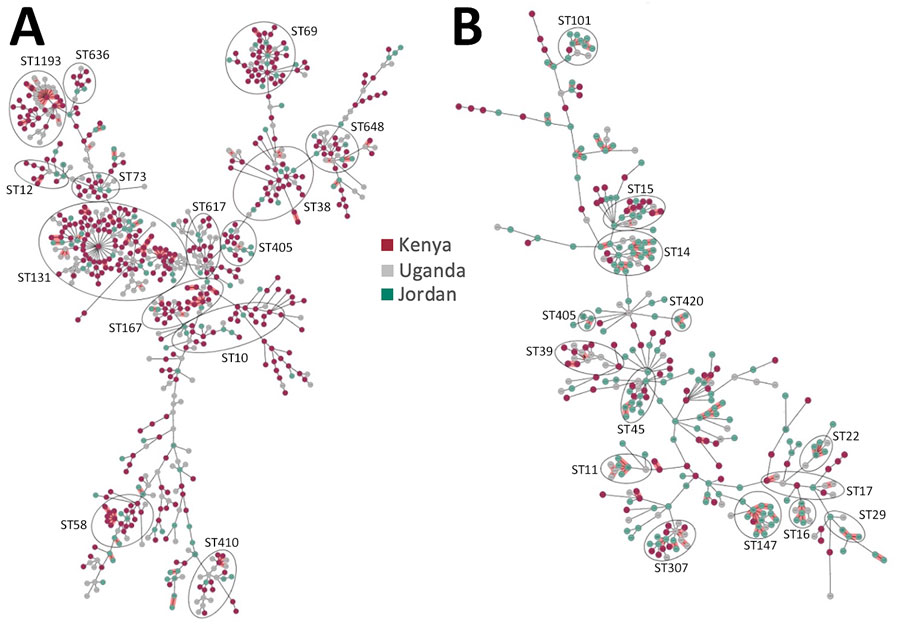 Population structure and diversity of high-risk Escherichia coli and Klebsiella pneumoniae sequence types across Kenya, Uganda, and Jordan. Minimum-spanning trees of E. coli (n = 785) and K. pneumoniae (n = 378) isolates are based on core-genome multilocus sequence typing. Each node represents an isolate; dominant STs are indicated in circled clusters. Branch length between nodes is proportional to the allelic differences between nodes. Purple indicates isolates from Kenya, gray from Uganda, and green from Jordan. ST, sequence type.