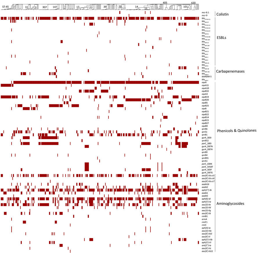 Comprehensive distribution of antimicrobial-resistance genes in 378 Klebsiella pneumoniae isolates from Kenya, Uganda, and Jordan. Antimicrobial-resistance genes associated with nonsusceptibility to various antibiotic classes (polymyxins, third- and fourth-generation cephalosporins, carbapenems, phenicols and quinolones, and aminoglycosides) for each isolate are labeled for presence (red) or absence (white). The presence or absence of gene(s) is mapped onto a neighbor-joining tree curated from its minimum-spanning tree. The most prevalent STs are labeled on the neighbor-joining tree. ESBLs, extended-spectrum β-lactamases; ST, sequence type.