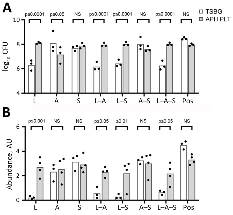 Effects of different growth media (TSBG) versus APH PLT for most bacteria on biofilm CFU recovery (A) and CV biofilm formation (B) on platelet bag coupons after 24 hours of incubation at 35°C. Baseline readings of TSBG and APH PLT without bacteria were subtracted from the readings at OD550. Leclercia adecarboxylata and the polymicrobial biofilms containing L. adecarboxylata showed a significant (p<0.05) increase in CFU within the biofilm and CV biomass when grown in APH PLT compared with TSBG. Acinetobacter spp. recovered from the biofilm was significantly decreased when grown in APH PLT. Each dot represents an individual biologic replicate inoculated with the corresponding monomicrobial or polymicrobial bacterial species. A, Acinetobacter spp.; APH PLT, apheresis platelets; AU, absorbance unit; CV, crystal violet; L, L. adecarboxylata; NS, not significant; OD, optical density; pos, positive control (Staphylococcus epidermidis); S, S. saprophyticus; TSBG, tryptic soy broth–glucose. 