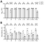 Effects of different incubation temperatures (22°C vs. 35°C) on biofilm CFU recovered (A) and CV biofilm formation (B) on platelet bag coupons after 24 hours of incubation in APH PLT. Baseline readings of TSBG and APH PLT with no bacteria were subtracted from the readings at OD550. Incubation temperature showed no significant effect on quantitative monomicrobial or polymicrobial bacterial growth in APH PLTs, except for Acinetobacter spp. alone, which was lower at 35°C. There was a trend of decreased bound CV at room temperature for all bacteria, but only the Acinetobacter spp./S. saprophyticus combination showed statistically significant reduction between 35°C and 22°C. Each dot represents an individual biologic replicate inoculated with the corresponding monomicrobial or polymicrobial bacterial species. A, Acinetobacter spp.; APH PLT, apheresis platelets; AU, absorbance unit; CV, crystal violet; L, Leclercia adecarboxylata; NS, not significant; OD, optical density; pos, positive control (Staphylococcus epidermidis); S, S. saprophyticus; TSBG, tryptic soy broth–glucose.