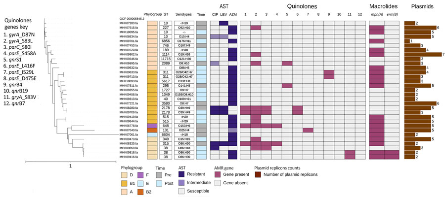 Phylogenetic tree and corresponding heatmap of 31 Escherichia coli isolates carrying antimicrobial resistance genes recovered from patients in Kenya with acute or severe diarrheal disease from pre–COVID-19 (2017–2019) and post–COVID-19 (2022–2023) periods. The phylogenetic tree was constructed by using a maximum-likelihood single-nucleotide polymorphism core genome alignment with a reference strain. Isolates are identified by reference genome identification numbers. Tree scale bar measures substitutions per site. AMR, antimicrobial resistance; AST, antimicrobial susceptibility testing; AZM, azithromycin; CIP, ciprofloxacin; LEV, levofloxacin; Post, post–COVID-19; Pre, pre–COVID-19; ST, sequence type. 