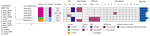 Phylogenetic tree and corresponding heatmap of 6 Shigella spp. isolates carrying antimicrobial resistance genes recovered from patients in Kenya with acute or severe diarrheal disease. The phylogenetic tree was constructed by using a maximum-likelihood single-nucleotide polymorphism core genome alignment with a reference strain. Isolates are identified by reference genome identification numbers. Tree scale bar measures substitutions per site. AMR, antimicrobial resistance; AST, antimicrobial susceptibility testing; AZM, azithromycin; CIP, ciprofloxacin; LEV, levofloxacin; ST, sequence type.