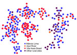 Minimal spanning trees representing the connectivity of Plasmodium vivax haplotypes from the Juruá Valley region (264 isolates collected 2016‒2021). Circles represent haplotypes with size linearly proportional to the number of isolates sharing them. Lines connect pairs of haplotypes with <5 allele mismatches and the overall network represents the most likely haplotype genealogy, ensuring that the summed distance of all links of the tree is the minimum possible. Haplotype colors indicate the likely site of infection (Appendix Figure 2). The circle with blue and red slices indicates a haplotype that was shared by 2 parasites from different (urban and rural) origins.