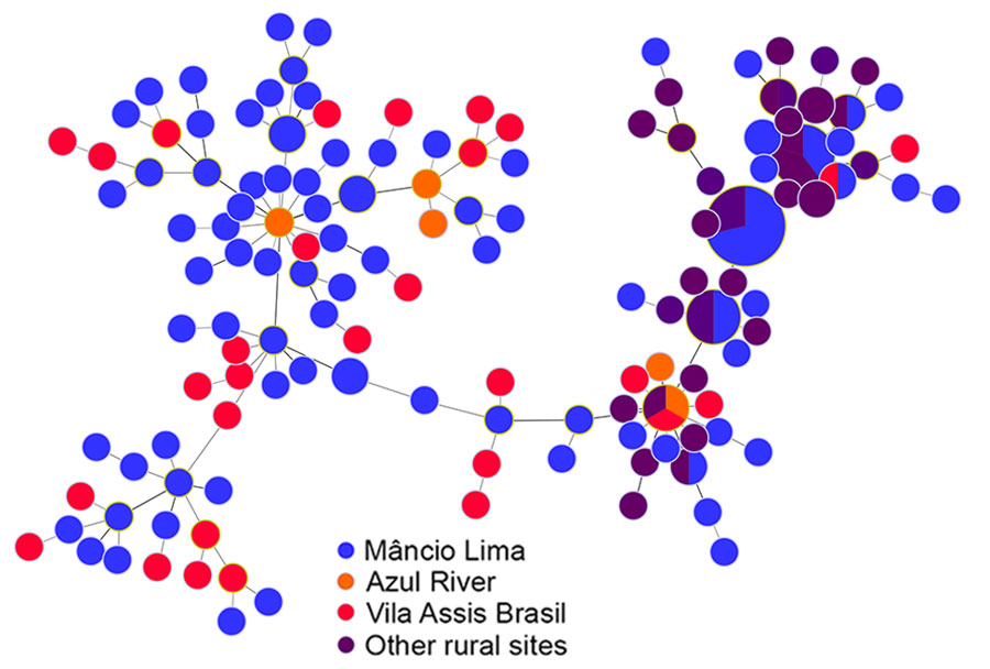 Minimal spanning trees representing the connectivity of Plasmodium falciparum haplotypes from the Juruá Valley region of Brazil (162 isolates collected 2018 ‒2021). Similar to Figure 4, circles represent haplotypes with size linearly proportional to the number of isolates sharing them and lines connect pairs of haplotypes with <5 allele mismatches. Haplotype colors indicate the likely site of infection (Appendix Figure 2). In 7 circles (haplotypes), slices of different colors indicate that the corresponding haplotypes were shared by parasites from different geographic origins.