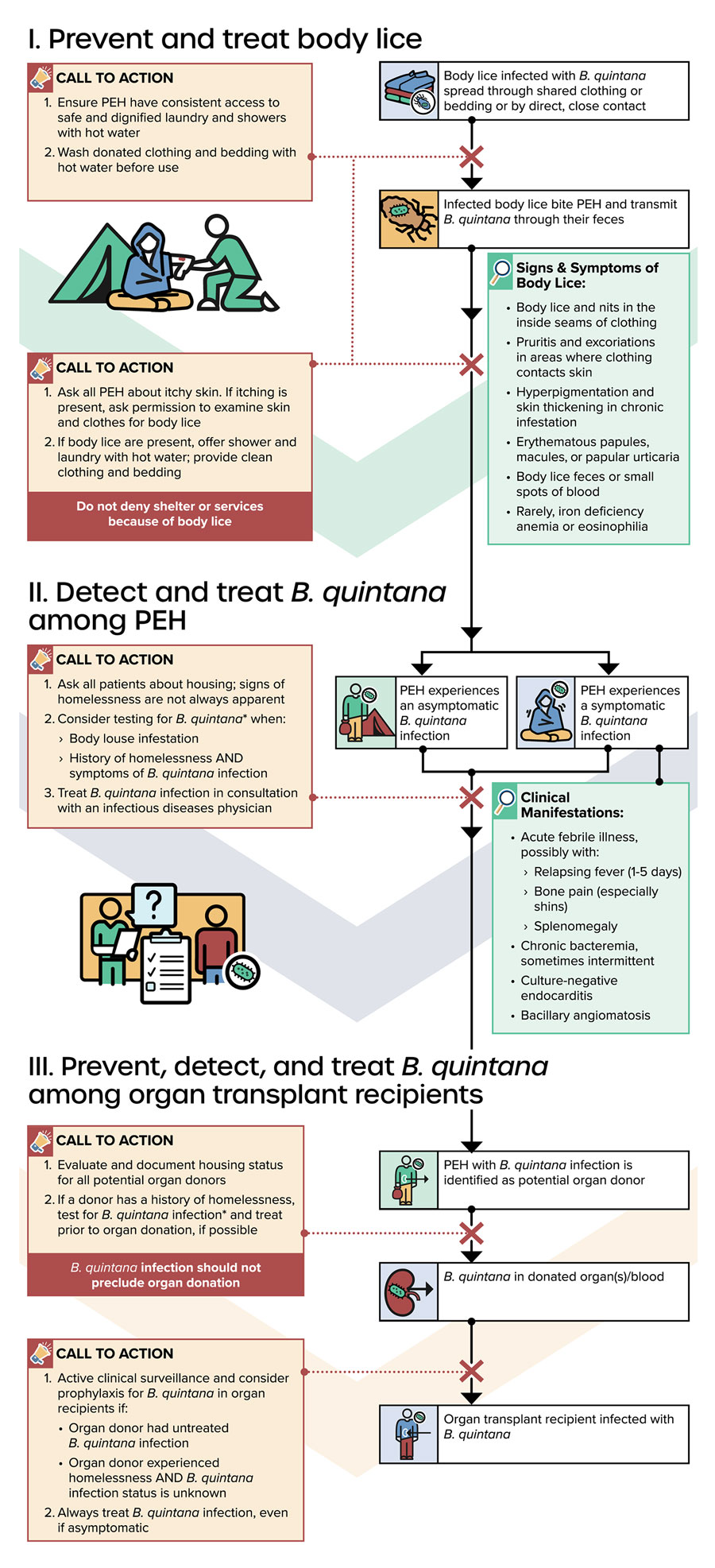 Conceptual framework for reducing transmission of Bartonella quintana in the United States among PEH and among organ transplant recipients through universal access to hygiene services, prevention and treatment of body lice infestation, and early diagnosis and treatment of B. quintana infection. Diagnostic testing for B. quintana includes bacterial culture with prolonged incubation time (minimum 14 days), serology, and molecular diagnostic methods (e.g., PCR or microbial cell-free DNA testing). PEH, persons experiencing homelessness.