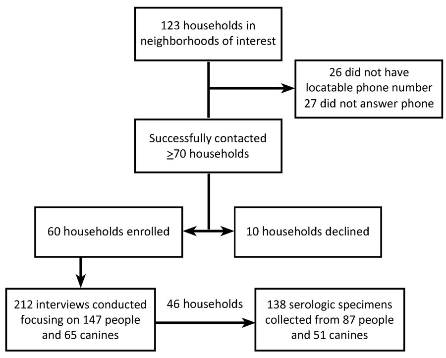 Flowchart of enrollment of households into investigation of human and canine blastomycosis cases associated with riverside neighborhood, Wisconsin, USA, December 2021–March 2022. Enrolled refers to a household in which >1 family member participated in the interview.