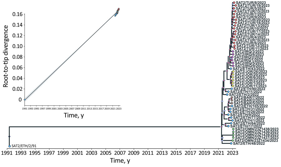 Time-scaled phylogeny reconstructed from whole genomes of the type SAT2 topotype XIV foot-and-mouth disease virus in study of eastern Africa origin of SAT2 topotype XIV foot-and-mouth disease virus outbreaks, western Asia, 2023. Tips are colored according to the country of isolation. Internal nodes colored in red identify those clades resulting with a posterior probability of >0.75. The 95% Bayesian credible interval reporting uncertainty region in the timing of each ancestral node is represented by the light blue horizontal bars. The inset shows the correlation of the SAT2 topotype XIV root-to-tip divergence with the time of sample collection. BAR, Bahrain; ETH, Ethiopia; IRQ, Iraq; JOR, Jordan; OMN, Oman; TUR, Turkey.