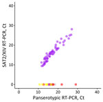 Performance of the SAT2/XIV-specific real-time RT-PCR for foot-and-mouth disease virus–positive samples representing different viral lineages and topotypes that are circulating or threaten countries in western Asia in study of eastern Africa origin of SAT2 topotype XIV foot-and-mouth disease virus outbreaks, western Asia, 2023. Plotted data shows real-time RT-PCR results for the SAT2/XIV specific test compared with results for the pan-serotype (3D) assay performed in parallel (5). Samples tested included clinical samples collected from confirmed SAT2/XIV cases (purple, n = 55) and characterized isolates from the O/ME-SA/PanAsia-2, O/ME-SA/Ind-2201 and O/EA-3 lineages (red, n = 8), the A/ASIA/Iran-05 lineage (blue, n = 1), the SAT1/I topotype (yellow, n = 7), the SAT2/VII topotype (purple, n = 8), and serotype Asia 1 (gray, n = 1). Ct, cycle threshold; RT-PCR, reverse transcription PCR.