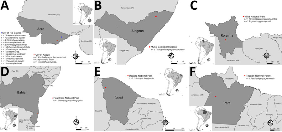 Sampling locations for sand flies that were qPCR positive in the screening for Bartonella spp. DNA from specimens collected in Brazil. A) State of Acre, northern Brazil; B) State of Alagoas, northeastern Brazil; C) State of Roraima, northern Brazil; D) State of Bahia, northeastern Brazil; E) State of Ceará, northeastern Brazil; F) State of Pará, northern Brazil. Dark gray indicates states with positive specimens, and red and blue dots representing the geographic location or city of sampling site. Inset maps show locations of each state in South America.