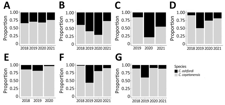 Proportion of Cyclospora cayetanensis and C. ashfordi in 7 states with highest number of specimens in study of Cyclospora genotypic variations and associated epidemiologic characteristics United States, 2018–2021. A) New York; B) Texas; C) Florida; D) Illinois; E) Iowa; F) Wisconsin; G) Minnesota. No specimens were submitted for genotyping from Florida in 2018 or from Iowa in 2021.