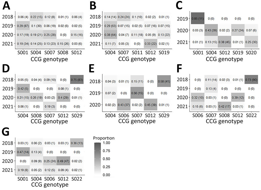 Heatmaps illustrating the proportions of the top 5 most prevalent CCGs in each of the 7 states with highest number of specimens in study of Cyclospora genotypic variations and associated epidemiologic characteristics United States, 2018–2021. A) New York; B) Texas; C) Florida; D) Illinois; E) Iowa; F) Wisconsin; G) Minnesota. Values within each box represent the percentage of the total number of specimens within a state for a given year. Numbers in parentheses represent the corresponding number of specimens. Darker shades represent higher proportions.  The total number of specimens submitted per year is as follows: New York, 67 (2018), 297 (2019), 110 (2020), 177 (2021); Texas, 98 (2018), 219 (2019), 168 (2020), 66 (2021); Florida 0 (2018), 13 (2019), 90 (2020), 118 (2021); Illinois, 111 (2018), 12 (2019), 73 (2020), 16 (2021); Iowa, 71 (2018), 27 (2019), 87 (2020), 0 (2021); Wisconsin, 123 (2018), 30 (2019), 31 (2020), 40 (2021); Minnesota, 36 (2018), 30 (2019), 95 (2020), 43 (2021). CCG, cluster consensus genotype.