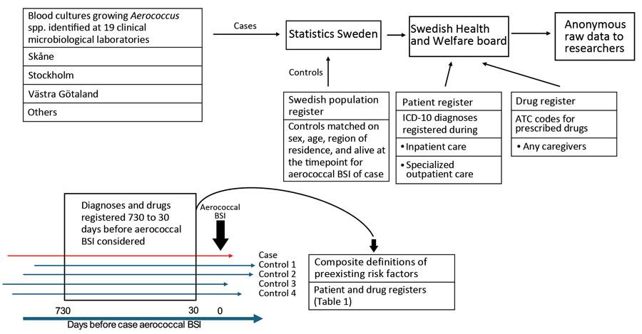 Figure 1. Overview of data collection and curation in nationwide observational case–control study of risk factors for Aerococcus BSIs, Sweden. Cases of aerococcal BSI were identified at 19 clinical microbiological laboratories across Sweden during 2012–2016. Matched control data were obtained from the Swedish Population Register. Registered diagnoses were collected from the National Patient Register, and prescribed drug data were collected from the National Drug Register. Registrations performed 30–730 days before aerococcal BSI detection were used to define medical conditions and characteristics hypothesized to contribute to aerococcal BSI. ATC, Anatomic Therapeutic Chemical; BSI, bloodstream infection; ICD-10, International Classification of Diseases, 10th Revision. Overview of data collection and curation in nationwide observational case–control study of risk factors for Aerococcus BSIs, Sweden. Cases of aerococcal BSI were identified at 19 clinical microbiological laboratories across Sweden during 2012–2016. Matched control data were obtained from the Swedish Population Register. Registered diagnoses were collected from the National Patient Register, and prescribed drug data were collected from the National Drug Register. Registrations performed 30–730 days before aerococcal BSI detection were used to define medical conditions and characteristics hypothesized to contribute to aerococcal BSI. ATC, Anatomic Therapeutic Chemical; BSI, bloodstream infection; ICD-10, International Classification of Diseases, 10th Revision.