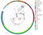 Genomic characterization of Yersinia pestis strains in a study of ecologic, geoclimatic, and genomic factors modulating plague epidemics in primary natural focus, Brazil. Phylogenetic tree was based on the 1,867 single-nucleotide variants identified in the core genome from 913 strains isolated in the Araripe Plateau and included in the analysis. The rings contain metadata regarding the epidemiologic features from the Araripe Plateau outbreaks (ring 1), the attributed geographic foci (ring 2), and genetic group provided in the NextStrain dataset (https://nextstrain.org) (ring 3). Brazil branches are colored according to their genetic subgroups. Scale bar indicates nucleotide substitutions per site.