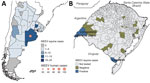 Western equine encephalitis cases in Argentina, Uruguay, and Brazil. A) Cumulative western equine encephalitis laboratory-confirmed cases in Argentina and Uruguay reported to the Pan American Health Organization (PAHO) during October 2023‒June 2024 (9). B) Locations of deaths among horses in Rio Grande do Sul state, Brazil, that tested positive (blue) and negative (yellow) for WEEV by rRT-PCR during December 2023‒April 2024. The cases were identified by our molecular epidemiology study in Barra do Quaraí on December 21, 2023 (EQ1090), in Uruguaiana on December 28, 2023 (EQ1122), and in Jaguarão on January 30, 2024 (EQ237). WEEV, western equine encephalitis virus.