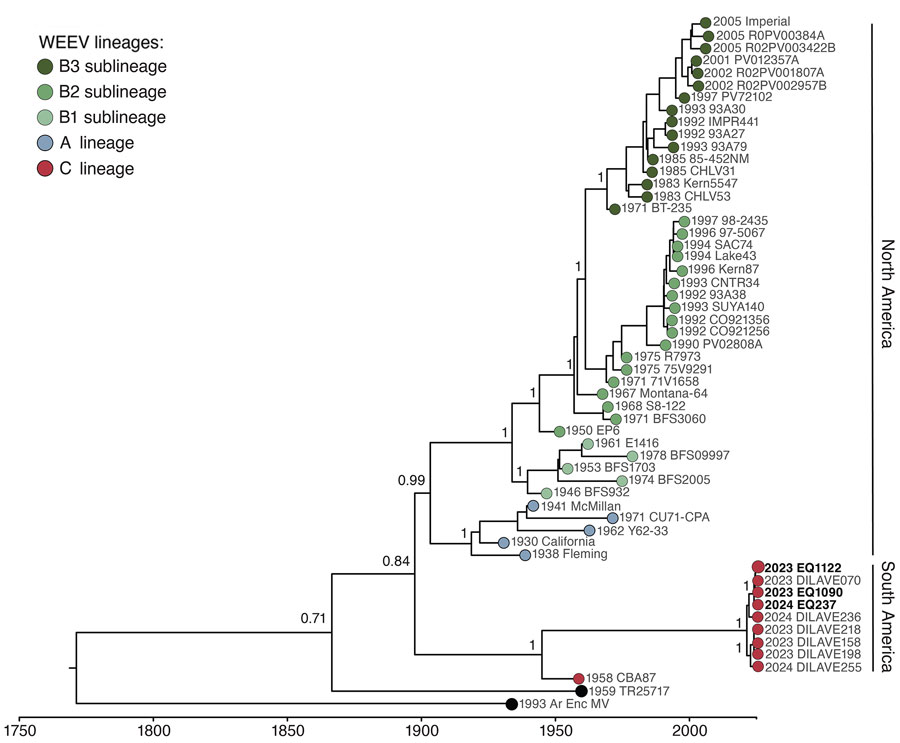 Maximum-likelihood phylogenetic tree of 3 new WEEV strains from Rio Grande do Sul state, Brazil (bold text), and reference sequences. Tip colors indicate WEEV lineage. We used an uncorrelated log-normal relaxed molecular clock model with an exponential rate distribution for generating the time-rooted tree. Posterior probability scores appear next to key well-supported nodes. Dates at key nodes are the estimated dates of divergence from a common ancestor, with Bayesian credible intervals. WEEV, western equine encephalitis virus.