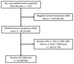 Flowchart of virologic examinations of cerebrospinal fluid samples from 615 patients with suspected CNS infection increase in adult patients with VZV-related CNS infections, Japan. Real-time PCR was carried out to detect DNA of 7 human herpesviruses: HSV-1, HSV-2, VZV, CMV, EBV, HHV-6, and HHV-7. Statistical analyses of VZV DNA–positive patients were performed to determine the trends and clinical features of VZV-related CNS infections. CMV, cytomegalovirus; CNS, central nervous system; EBV, Epstein‐Barr virus; HHV, human herpesvirus; HSV, herpes simplex virus; VZV, varicella-zoster virus.