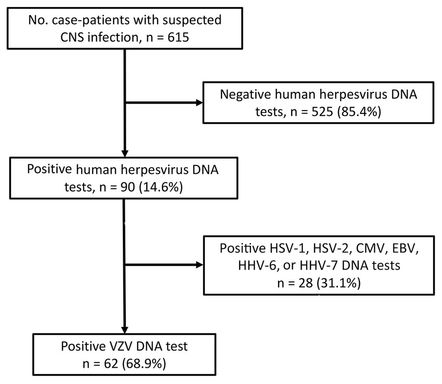 Flowchart of virologic examinations of cerebrospinal fluid samples from 615 patients with suspected CNS infection increase in adult patients with VZV-related CNS infections, Japan. Real-time PCR was carried out to detect DNA of 7 human herpesviruses: HSV-1, HSV-2, VZV, CMV, EBV, HHV-6, and HHV-7. Statistical analyses of VZV DNA–positive patients were performed to determine the trends and clinical features of VZV-related CNS infections. CMV, cytomegalovirus; CNS, central nervous system; EBV, Epstein‐Barr virus; HHV, human herpesvirus; HSV, herpes simplex virus; VZV, varicella-zoster virus.