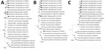 Phylogenetic analysis of Yezo virus strains in study of transboundary movement of Yezo virus via ticks on migratory birds, Japan, 2020–2021. Trees were constructed by using the maximum-likelihood method in MEGA X (https://www.megasoftware.net) and 1,000 bootstrap replicates for nucleotide sequences. A) Large segment; B) medium segment; C) small segment. Black circles indicate sequences from this study. The number at each branch indicates the bootstrap value. GenBank accession numbers for nucleotide sequences are shown in parentheses. Sulina virus IxriSL16-01 was used as the outgroup to determine the root of Yezo virus trees but is not shown. Scale bars indicate nucleotide substitutions per site.