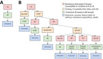 Treatment pathways for new TB patients in study of potential of pan-TB treatment to drive emergence of novel resistance, comparing a pan-TB treatment scenario (A) with the standard-of-care scenario (B). Retreatment pathways are shown in Appendix Figure 1. BR-TB, diarylquinoline-resistant TB; RR-TB, rifampin-resistant TB; RS-TB, rifampin-susceptible TB; TB, tuberculosis; XR-TB, TB resistant to additional novel drug X; R DST, rifampin drug-susceptibility testing; B DST, diarylquinoline susceptibility testing; X DST, other novel drug (or drugs) susceptibility testing.